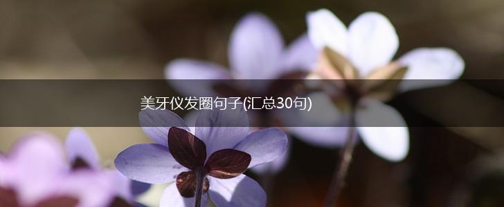 美牙仪发圈句子(汇总30句),第1张