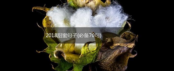2018甜蜜句子(必备70句),第1张