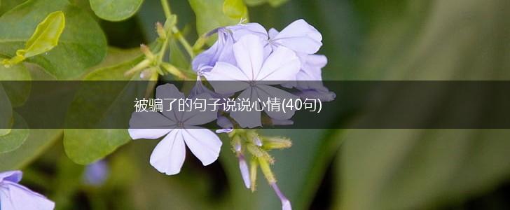 被骗了的句子说说心情(40句),第1张