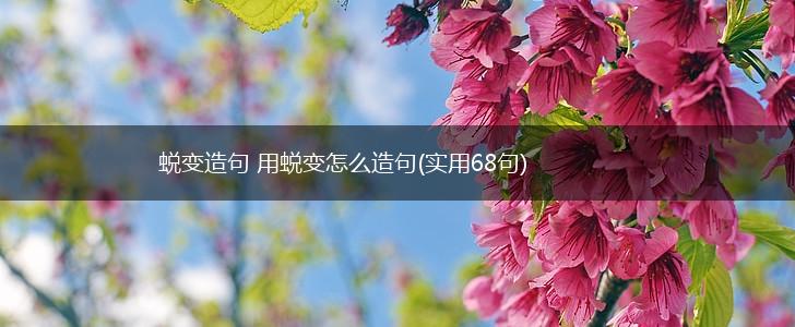 蜕变造句 用蜕变怎么造句(实用68句),第1张