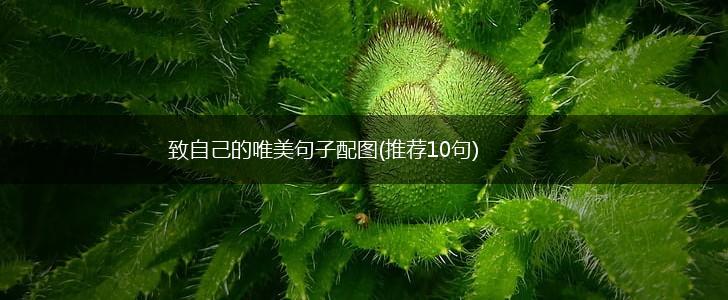 致自己的唯美句子配图(推荐10句),第1张