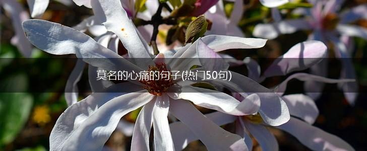 莫名的心痛的句子(热门50句),第1张