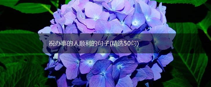 祝办事的人顺利的句子(精选50句),第1张