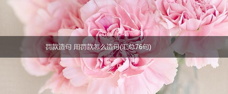 罚款造句 用罚款怎么造句(汇总76句),第1张