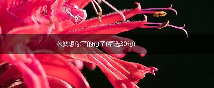 老婆想你了的句子(精选30句),第1张