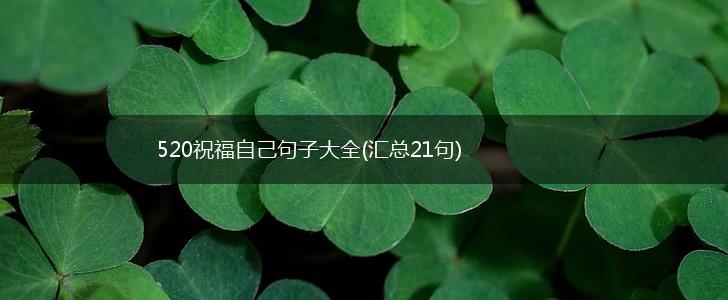 520祝福自己句子大全(汇总21句),第1张