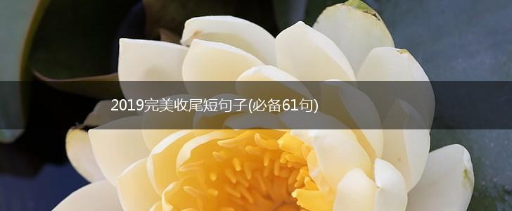 2019完美收尾短句子(必备61句),第1张