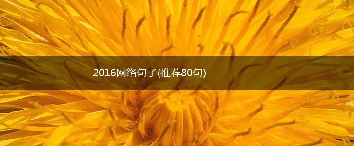 2016网络句子(推荐80句),第1张