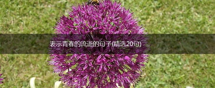 表示青春的流逝的句子(精选20句),第1张