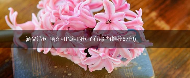 涵义造句 涵义可以组的句子有那些(推荐87句),第1张