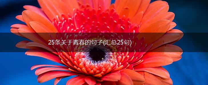 25条关于青春的句子(汇总25句),第1张