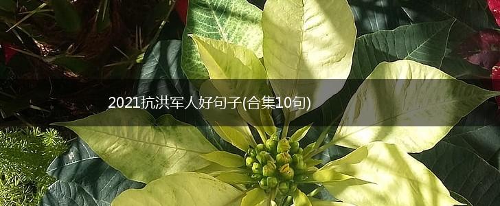 2021抗洪军人好句子(合集10句),第1张