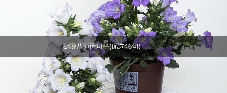 胡说八道造句子(优选46句),第1张