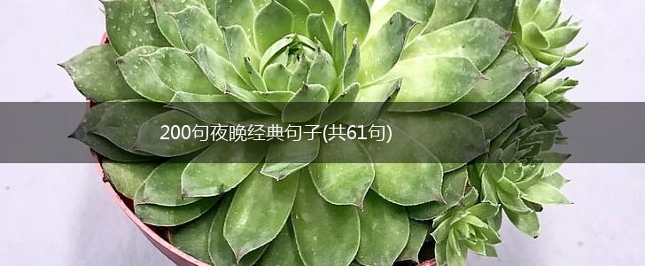 200句夜晚经典句子(共61句),第1张