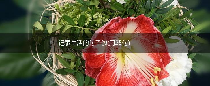 记录生活的句子(实用25句),第1张
