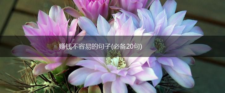 赚钱不容易的句子(必备20句),第1张
