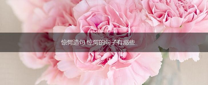 惊愕造句 惊愕的句子有那些,第1张