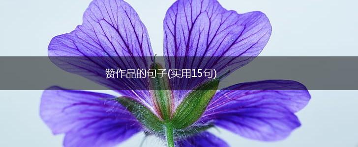 赞作品的句子(实用15句),第1张