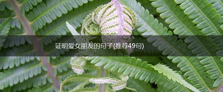 证明爱女朋友的句子(推荐49句),第1张