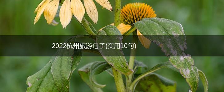2022杭州旅游句子(实用10句),第1张