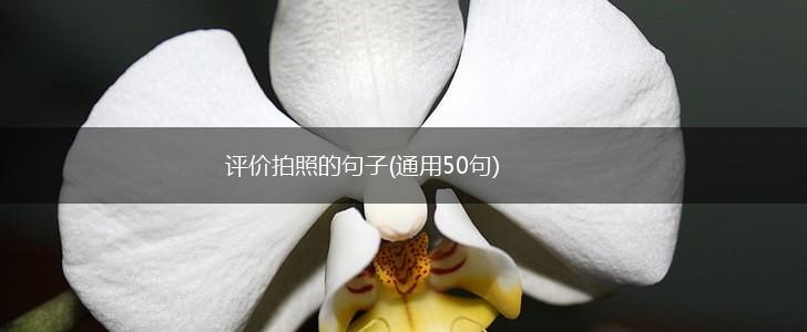评价拍照的句子(通用50句),第1张
