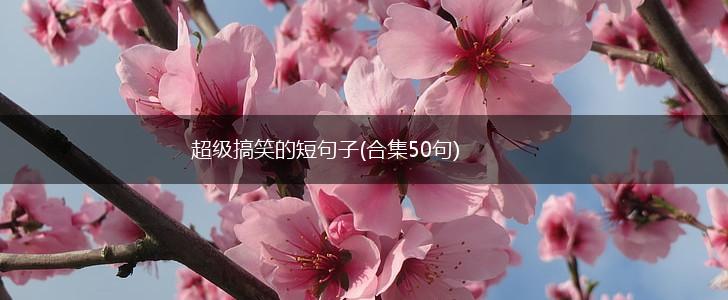 超级搞笑的短句子(合集50句),第1张