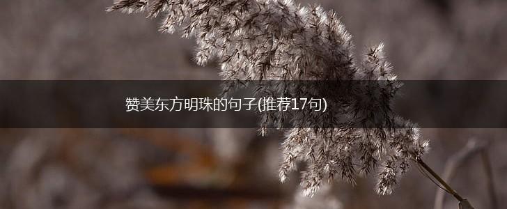 赞美东方明珠的句子(推荐17句),第1张