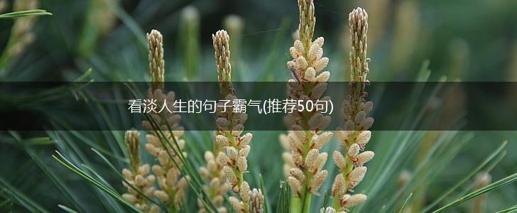 看淡人生的句子霸气(推荐50句),第1张