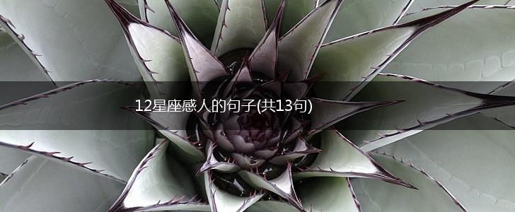 12星座感人的句子(共13句),第1张