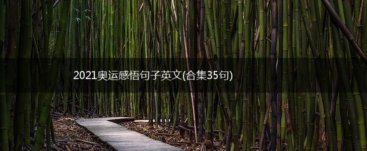 2021奥运感悟句子英文(合集35句),第1张
