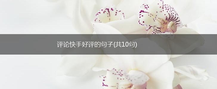 评论快手好评的句子(共10句),第1张