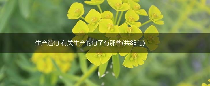 生产造句 有关生产的句子有那些(共85句),第1张