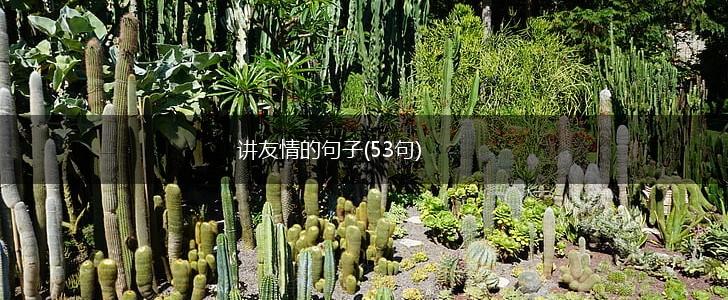 讲友情的句子(53句),第1张