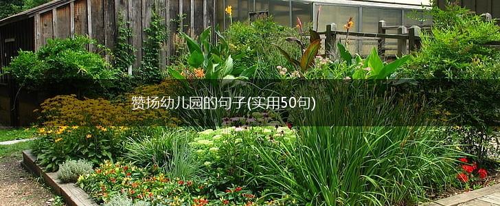 赞扬幼儿园的句子(实用50句),第1张