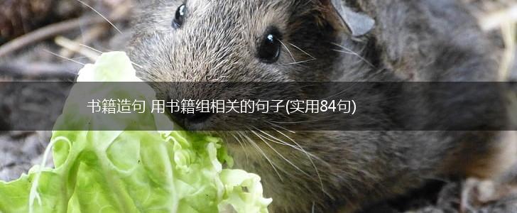 书籍造句 用书籍组相关的句子(实用84句),第1张