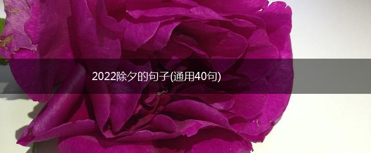 2022除夕的句子(通用40句),第1张
