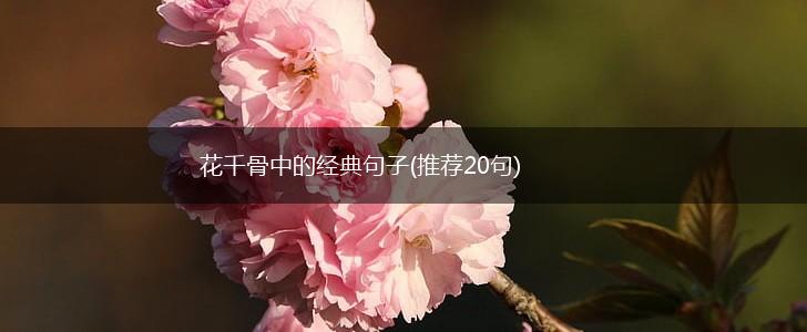 花千骨中的经典句子(推荐20句),第1张