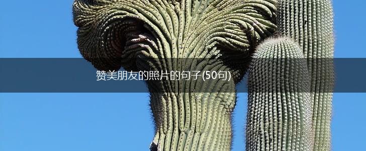 赞美朋友的照片的句子(50句),第1张