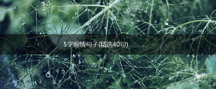 5字煽情句子(精选40句),第1张
