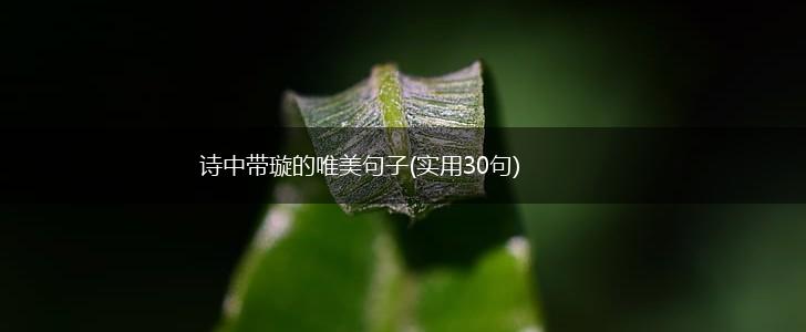 诗中带璇的唯美句子(实用30句),第1张