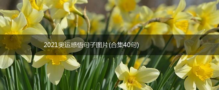 2021奥运感悟句子图片(合集40句),第1张
