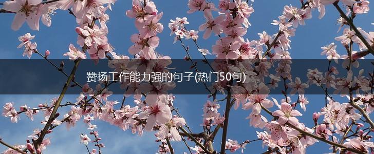 赞扬工作能力强的句子(热门50句),第1张