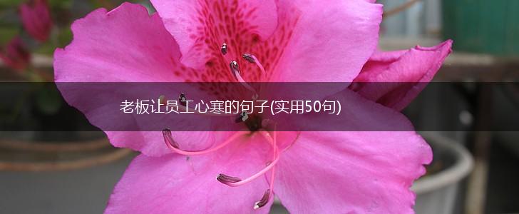 老板让员工心寒的句子(实用50句),第1张