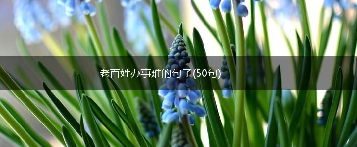 老百姓办事难的句子(50句),第1张