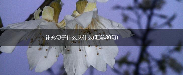 补充句子什么从什么(汇总80句),第1张