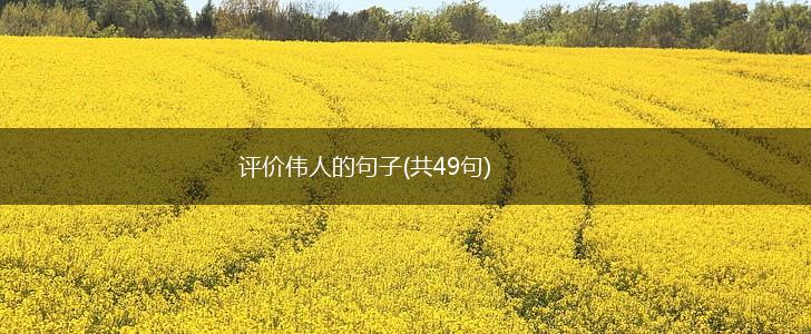 评价伟人的句子(共49句),第1张