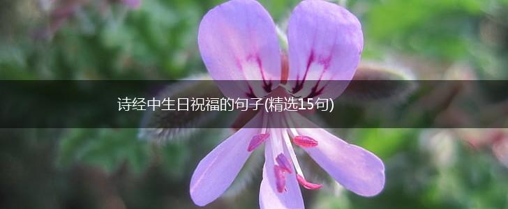 诗经中生日祝福的句子(精选15句),第1张