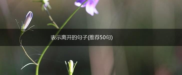 表示离开的句子(推荐50句),第1张