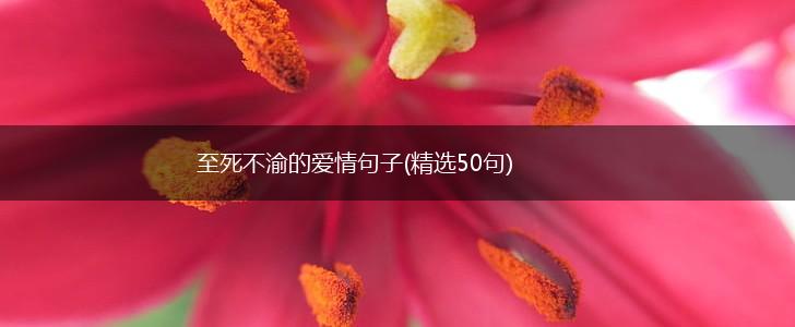 至死不渝的爱情句子(精选50句),第1张