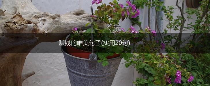 赚钱的唯美句子(实用20句),第1张